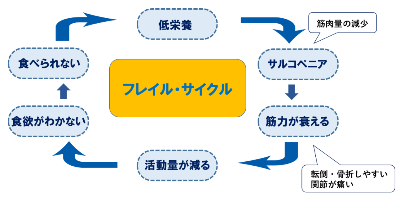 福山市ホームページ「【栄養】低栄養を予防しましょう」