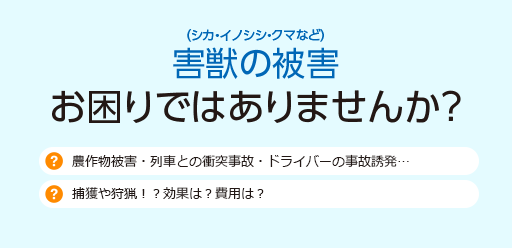 害獣の被害、お困りではありませんか？